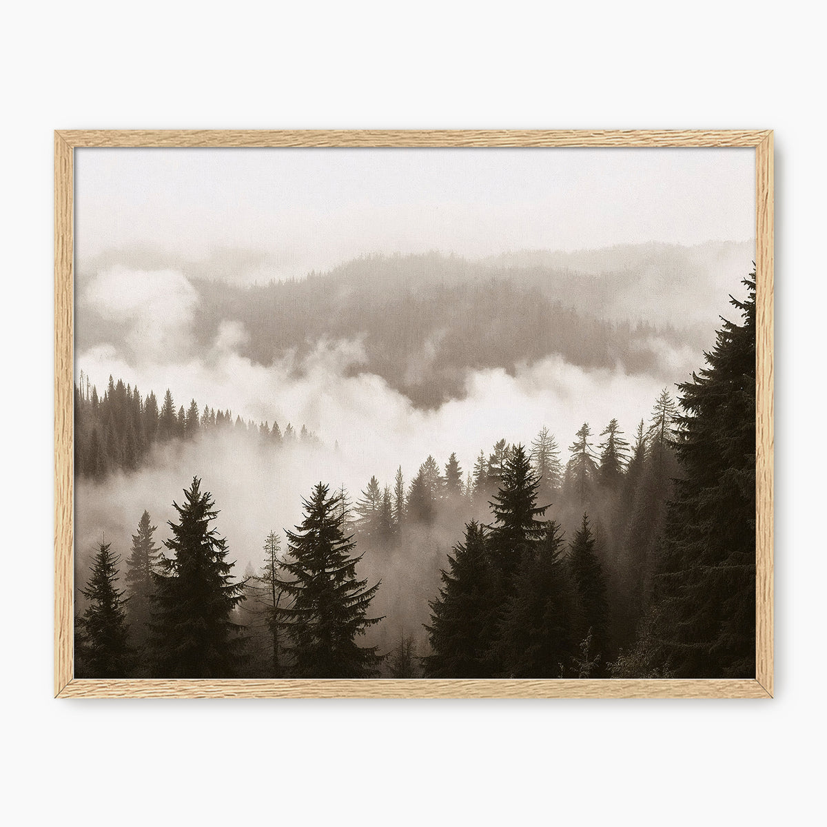 40-*AK-16-Misty Ridge Photo - HZ - Sage and Rose Prints
