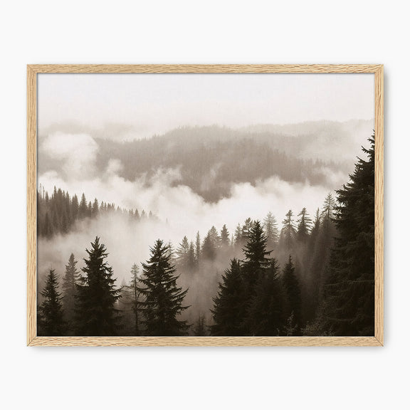 40-*AK-16-Misty Ridge Photo - HZ - Sage and Rose Prints