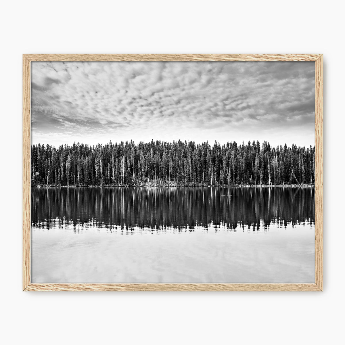 Lake Reflection Photography