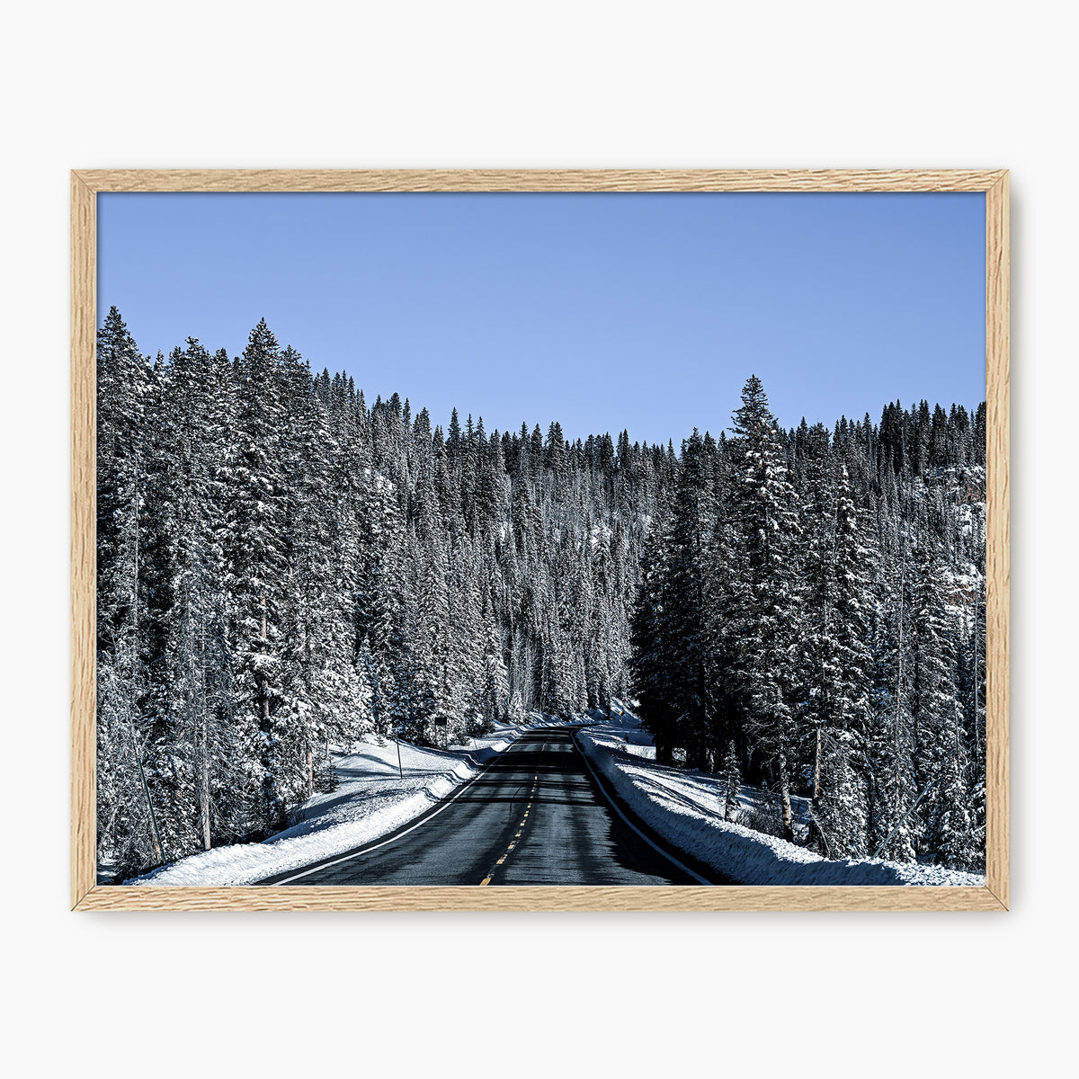 Rockies Road Photography