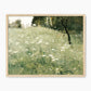 White Wildflower Landscape Print - Sage and Rose Prints