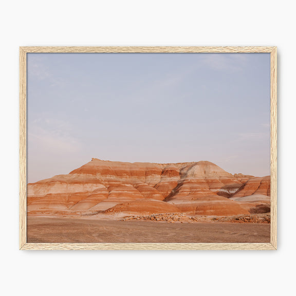 Desert Views Photo - Sage and Rose Prints