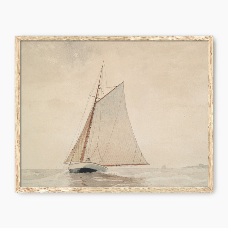 Vintage Sailboat Illustration No2 - Sage and Rose Prints