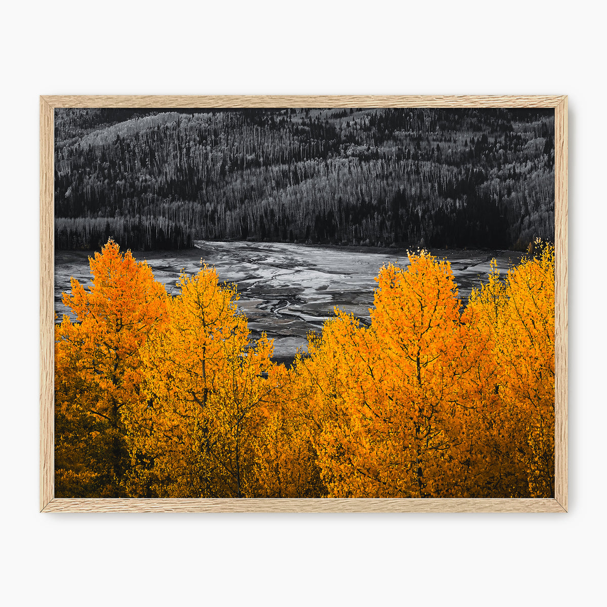 Vibrant Orange Fall Photography