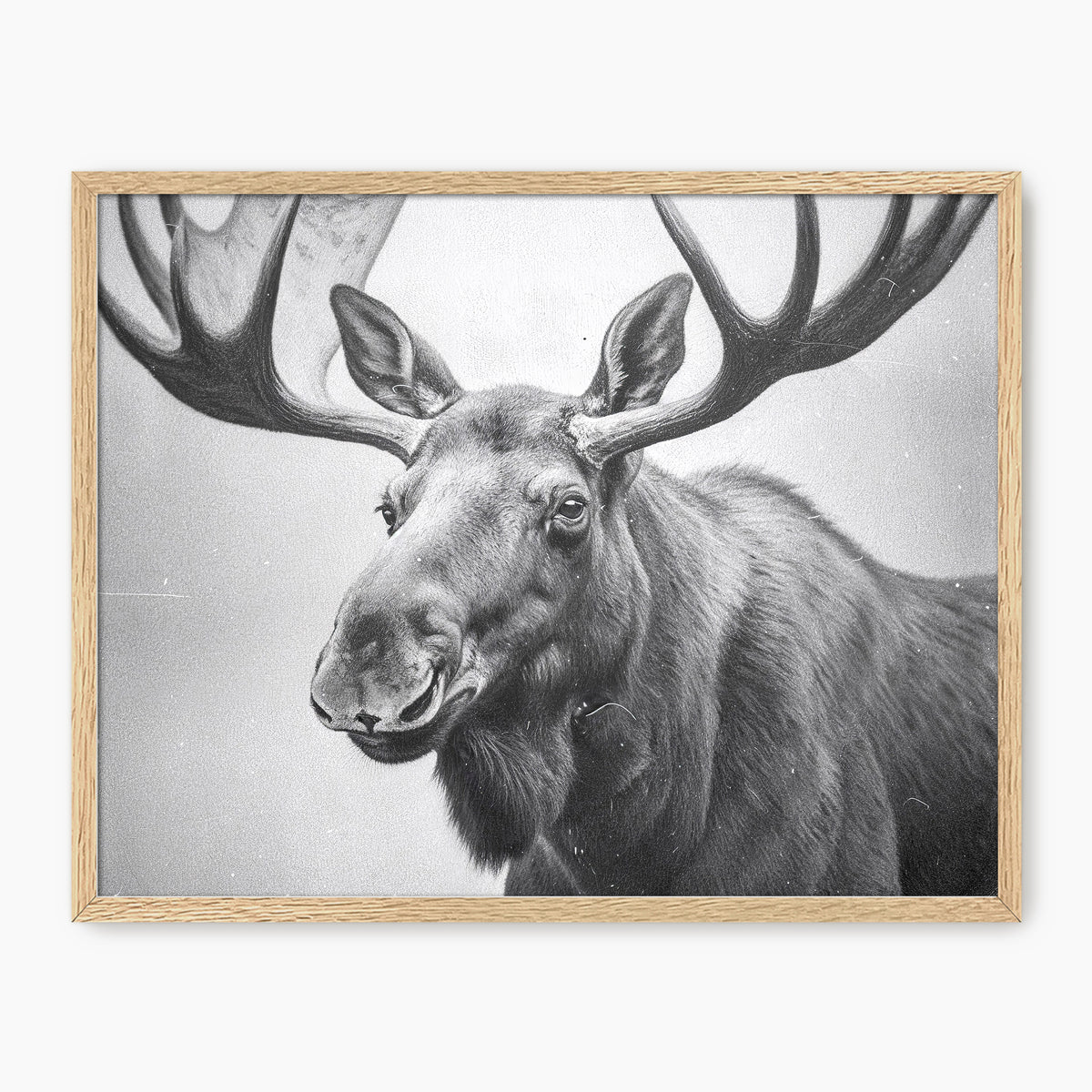 AK-17 Black and White Vintage Moose Photograph - Sage and Rose Prints