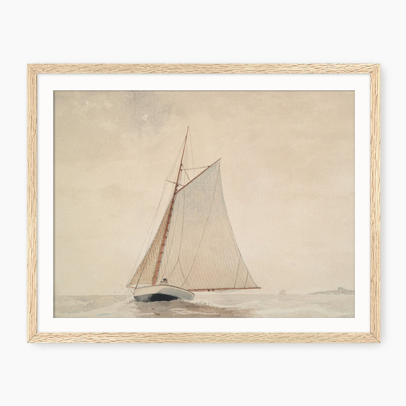Vintage Sailboat Illustration No2 - Sage and Rose Prints