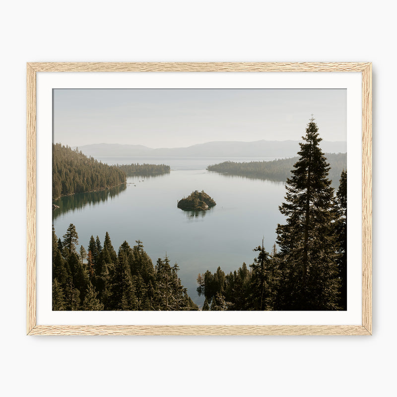 The Cove - Sage and Rose Prints