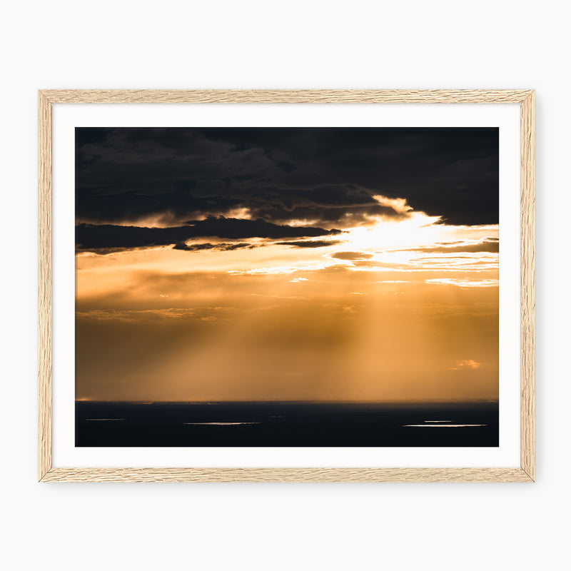 Beautiful Rays Photography - Sage and Rose Prints
