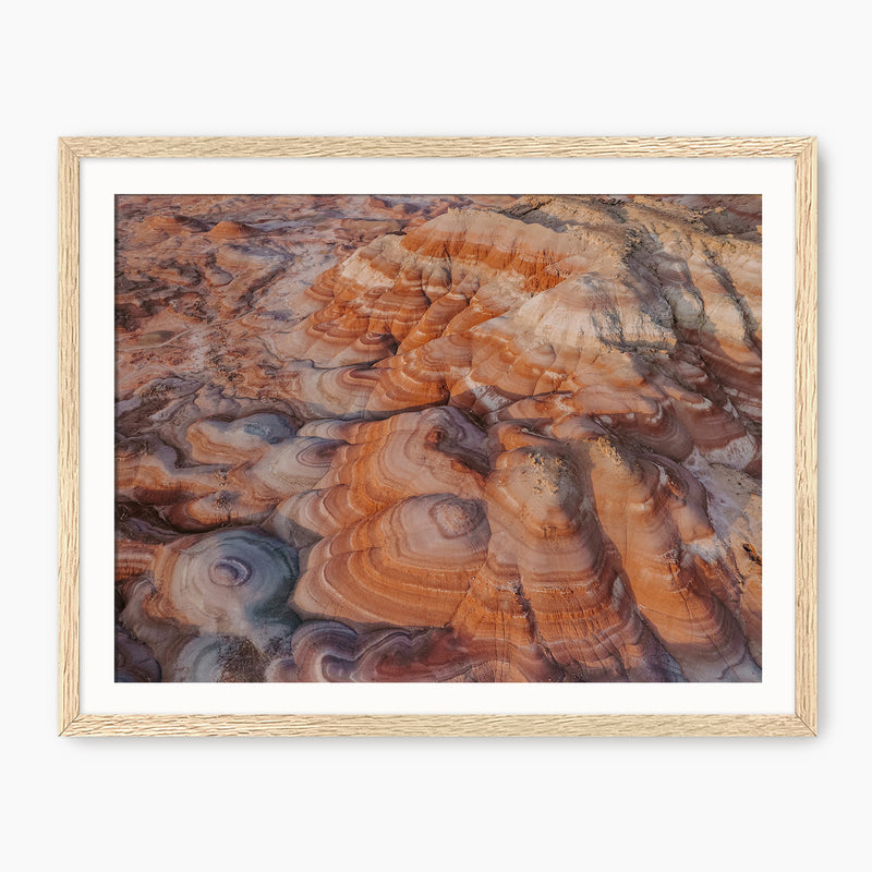 Rainbow Desert Aerial Landscape - Sage and Rose Prints