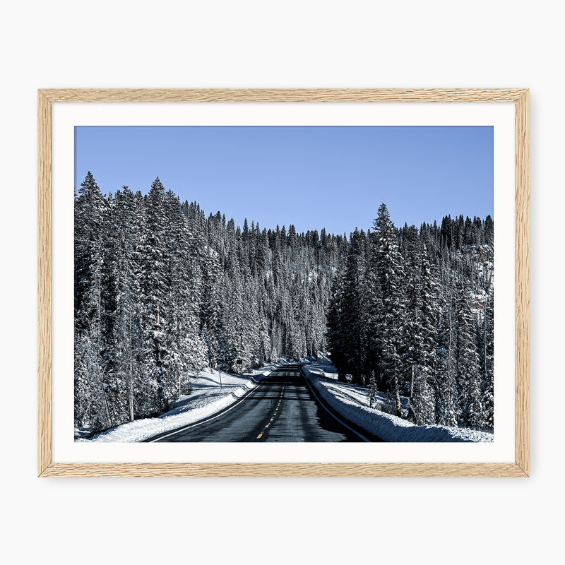 Rockies Road Photography - Sage and Rose Prints