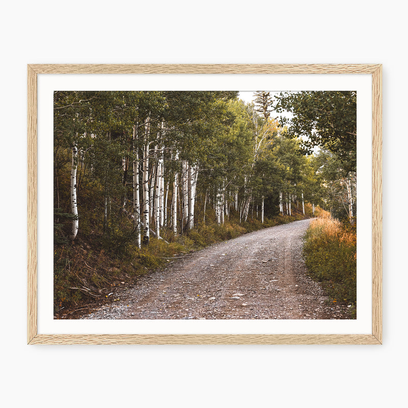 Path through the Woods Nature Photography - Sage and Rose Prints