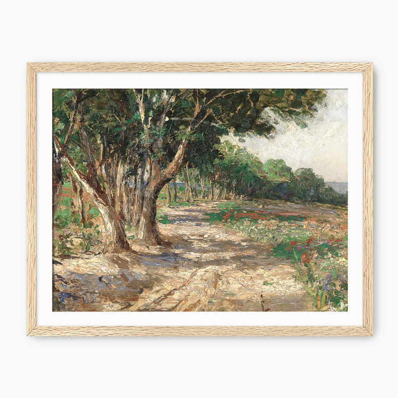 Elm Trees & Country Road Print - Sage and Rose Prints