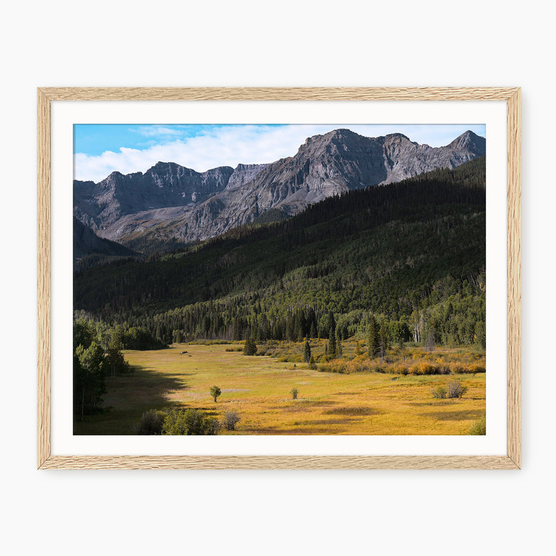 Colorado Rockies Photography - Sage and Rose Prints