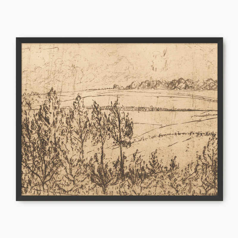 Vintage Fields and Trees Drawing