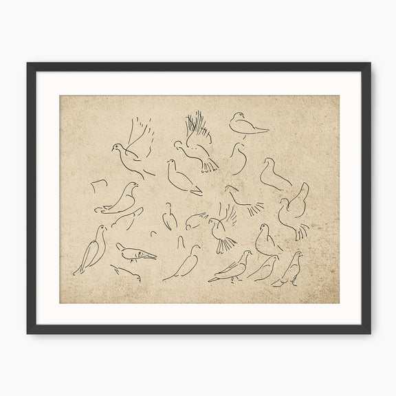 Vintage Doves Sketch - Sage and Rose Prints