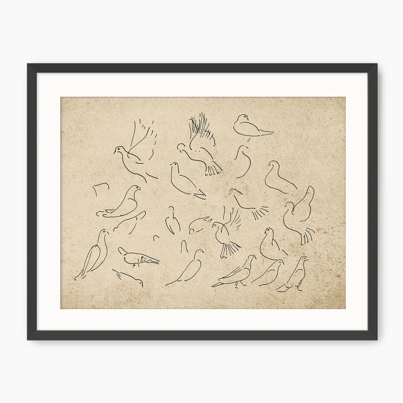 Vintage Doves Sketch - Sage and Rose Prints