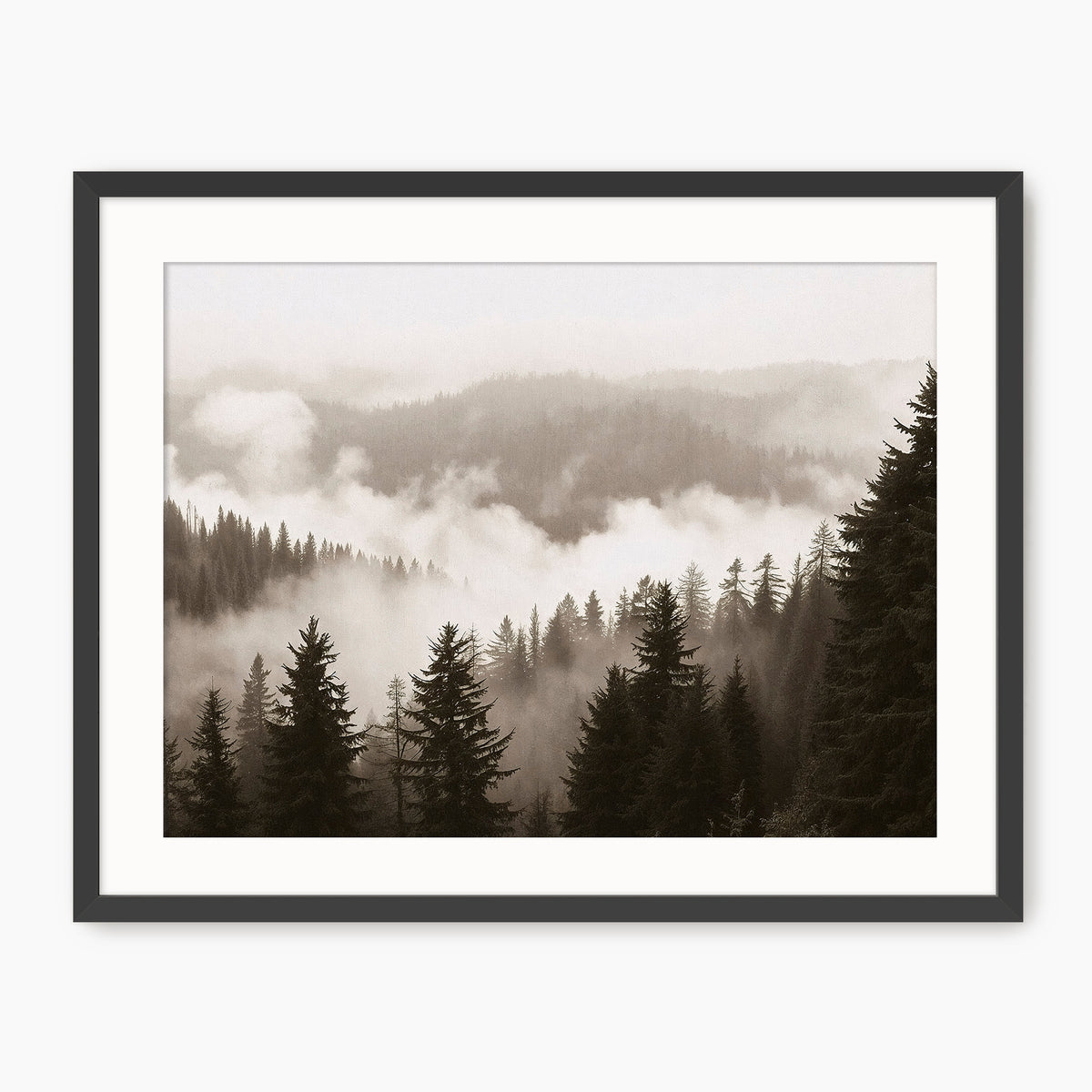 Misty Ridge Black and White Photo - Sage and Rose Prints