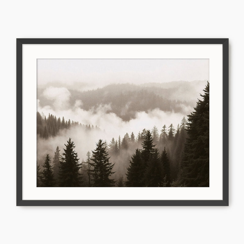 Misty Ridge Black and White Photo - Sage and Rose Prints