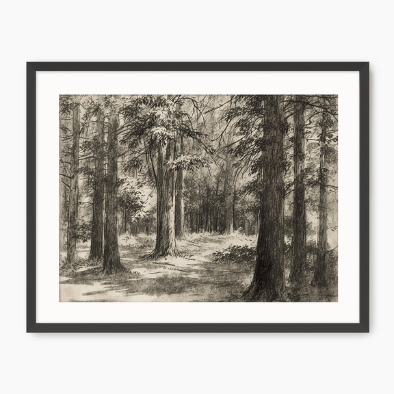 Vintage Forest Sketch - Sage and Rose Prints