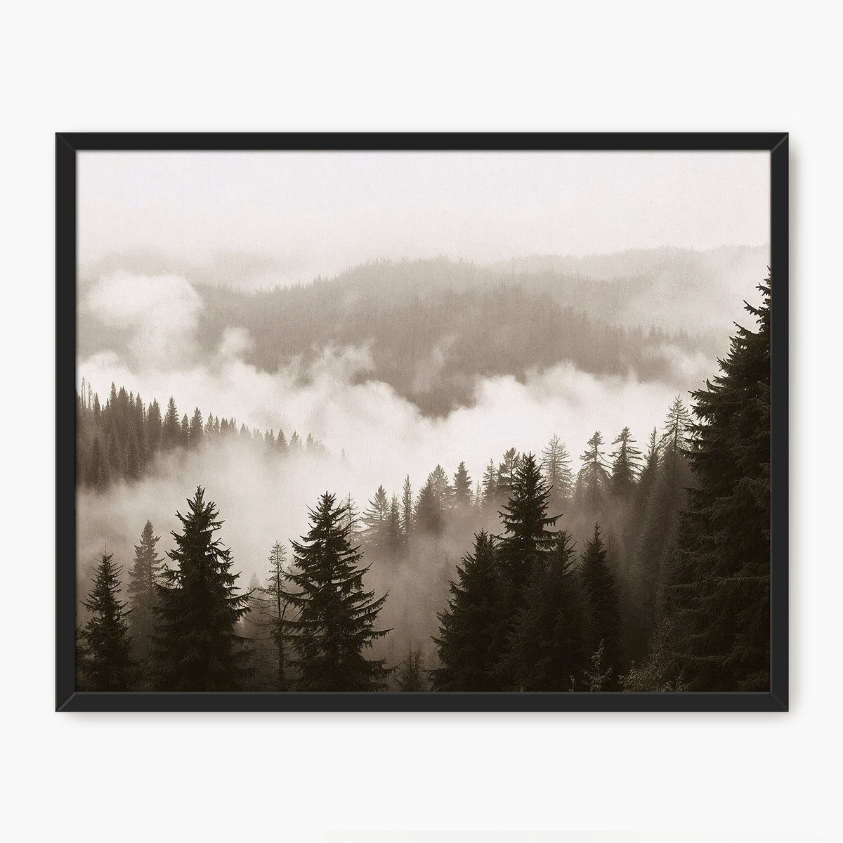 40-*AK-16-Misty Ridge Photo - HZ - Sage and Rose Prints