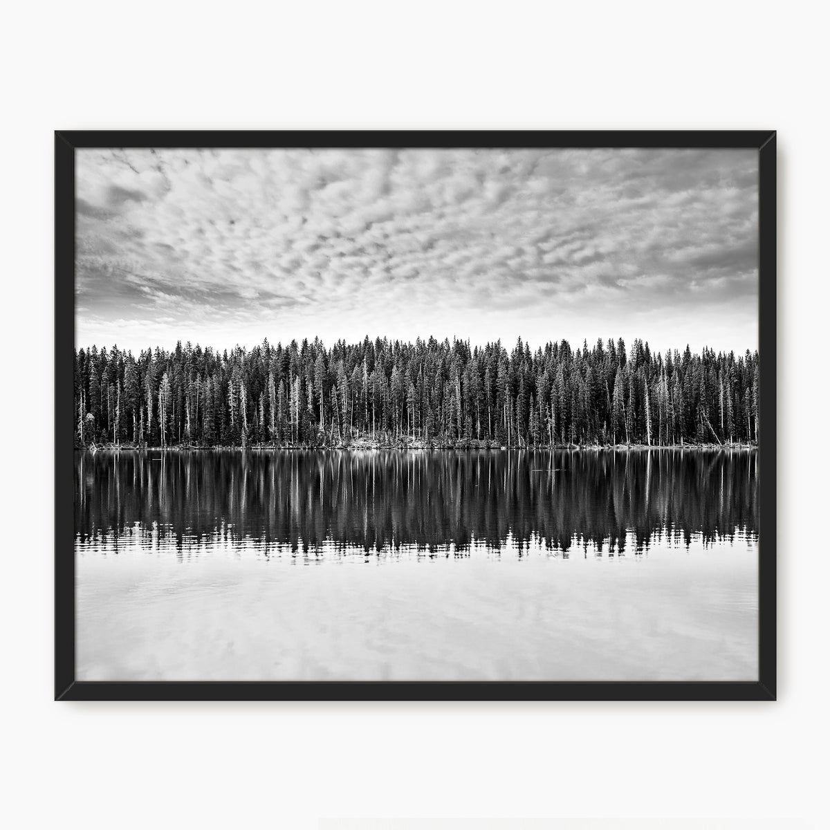 Lake Reflection Photography