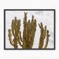 San Diego Cactus Photo - Sage and Rose Prints