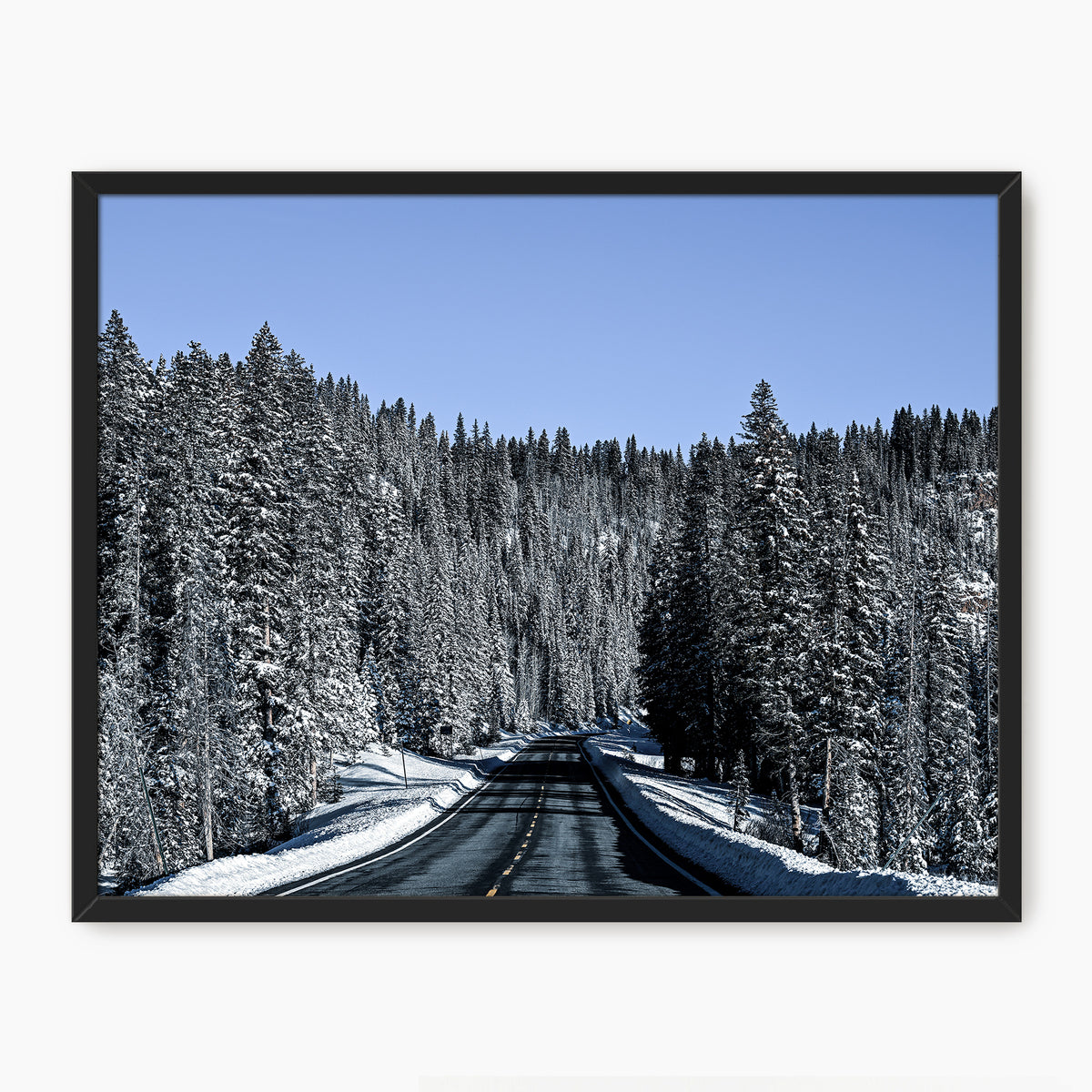 Rockies Road Photography