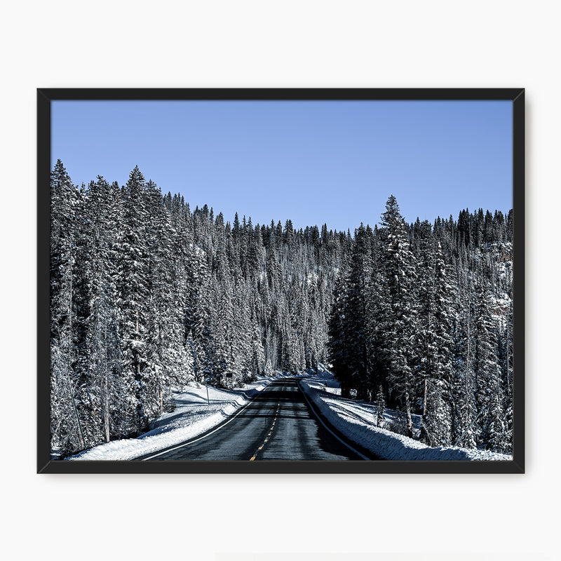 Rockies Road Photography - Sage and Rose Prints