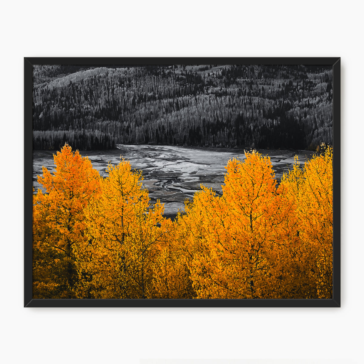 Vibrant Orange Fall Photography