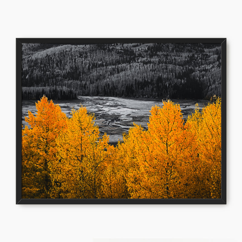 Vibrant Orange Fall Photography - Sage and Rose Prints