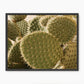 Spiked In the Sunlight Cactus Photo - Sage and Rose Prints
