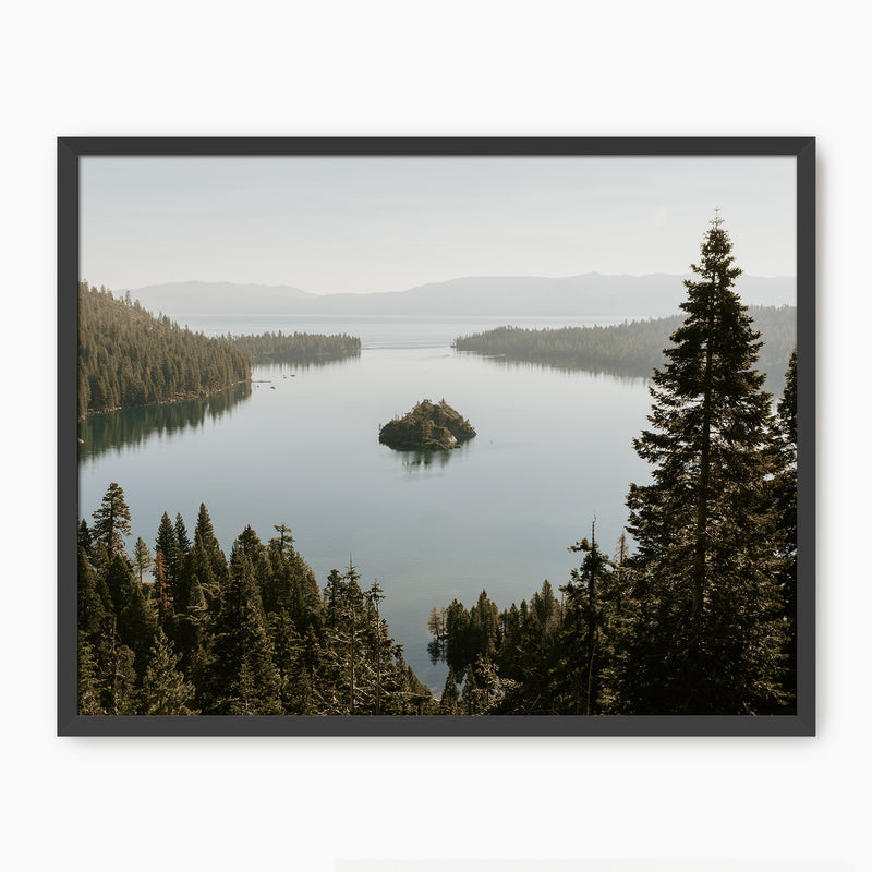 The Cove - Sage and Rose Prints