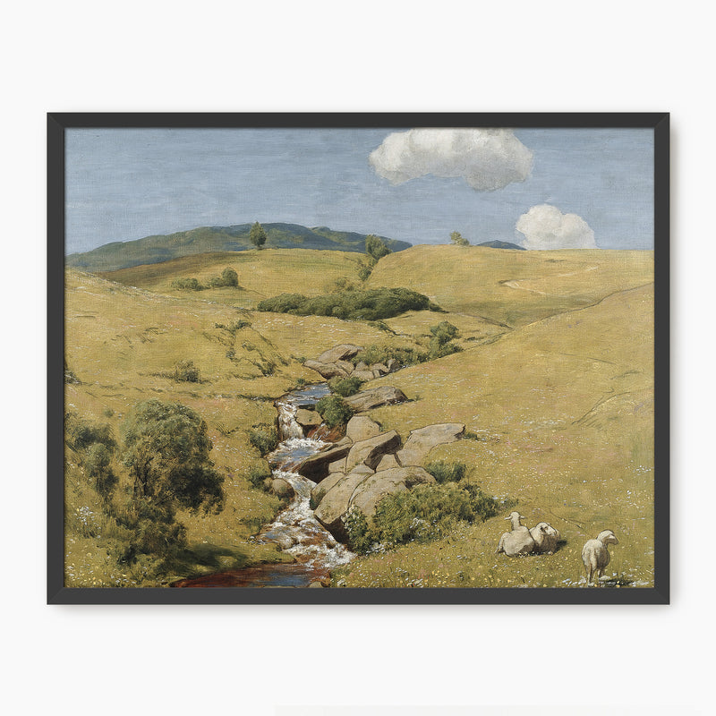 Sunny Meadow Pasture - Sage and Rose Prints