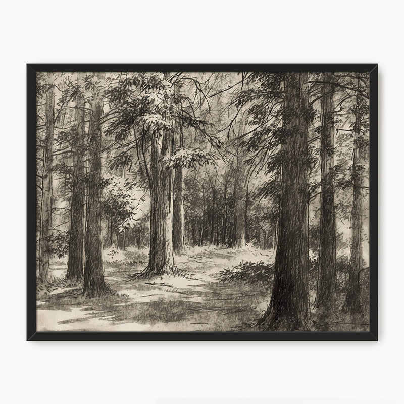 AK-46 Vintage Forest Sketch - Sage and Rose Prints