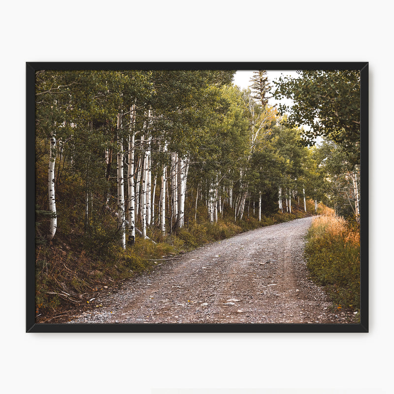 Path through the Woods Nature Photography - Sage and Rose Prints