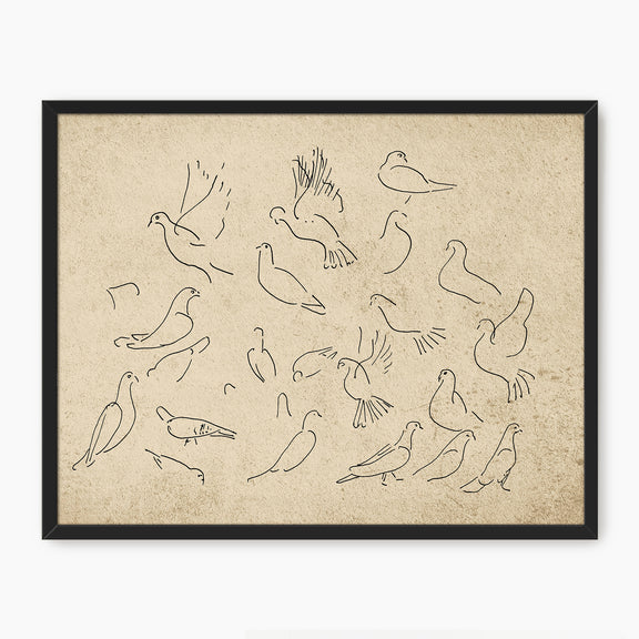 38-*AK-03- Vintage Doves Sketch - Sage and Rose Prints