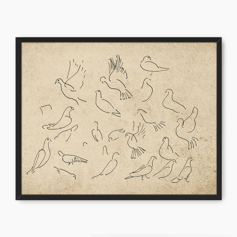 38-*AK-03- Vintage Doves Sketch - Sage and Rose Prints