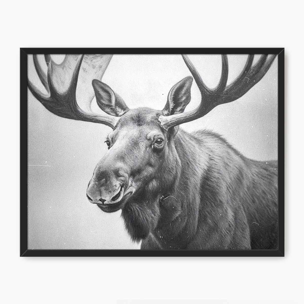 AK-17 Black and White Vintage Moose Photograph - Sage and Rose Prints