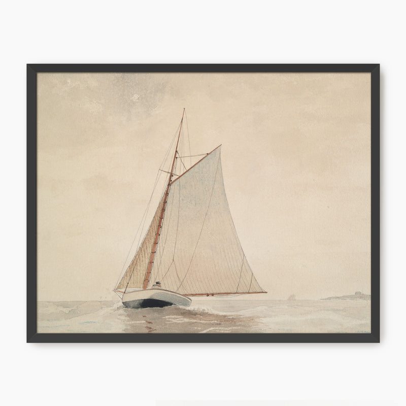 Vintage Sailboat Illustration No2 - Sage and Rose Prints