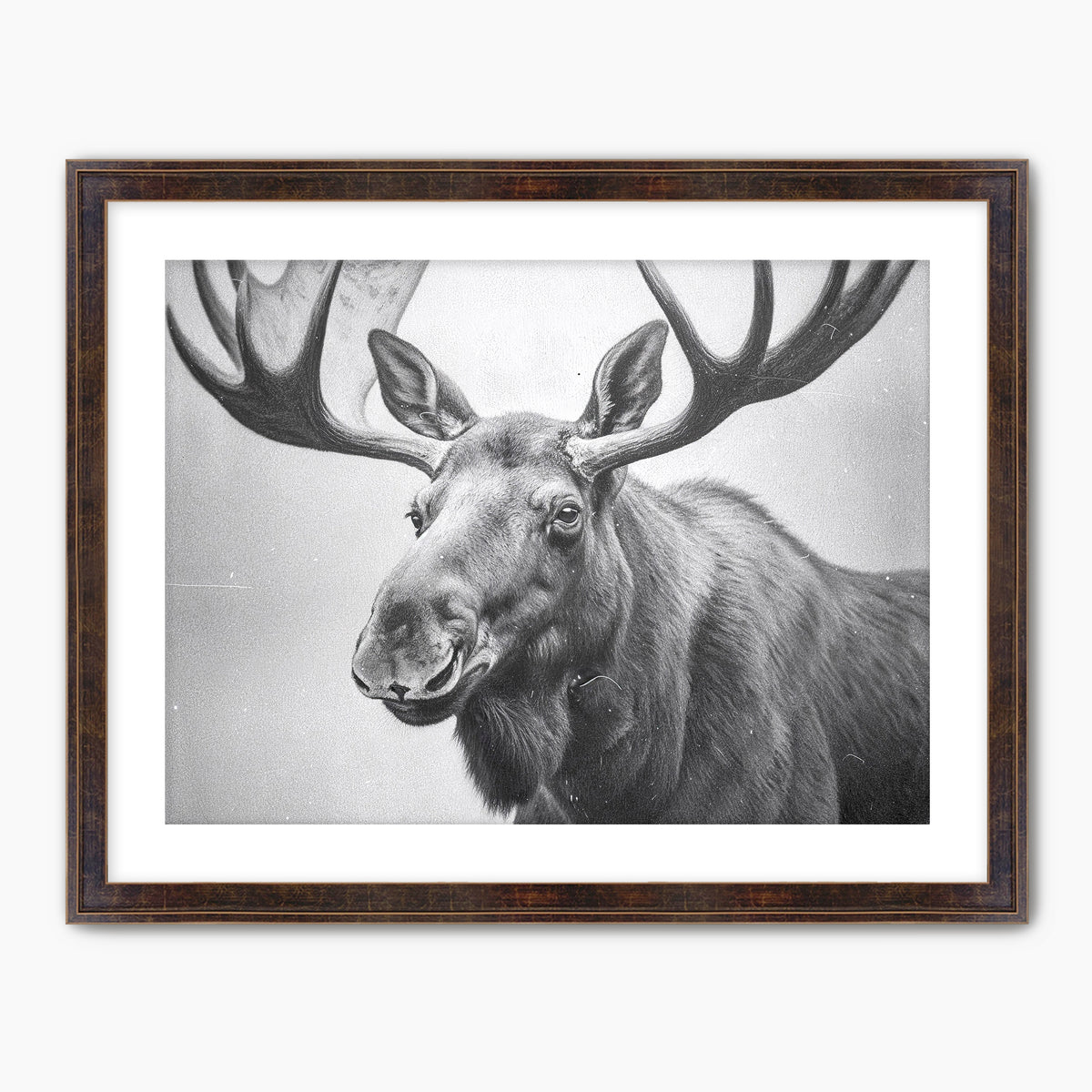AK-17 Black and White Vintage Moose Photograph - Sage and Rose Prints