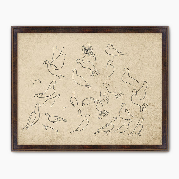 Vintage Doves Sketch - Sage and Rose Prints