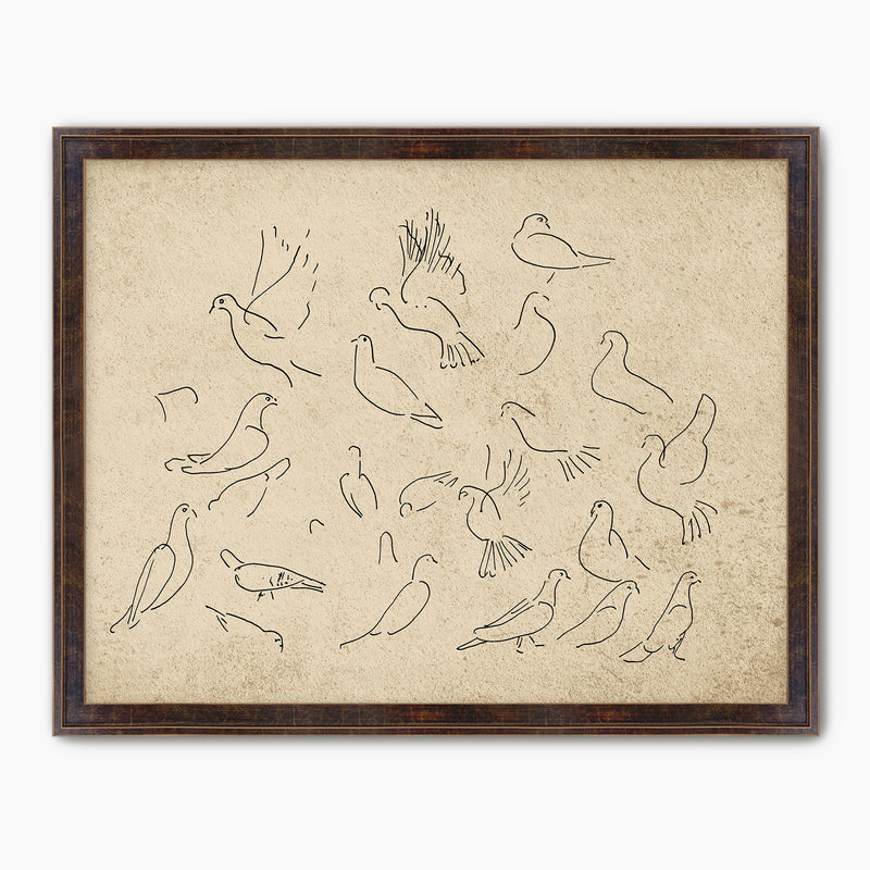 Vintage Doves Sketch - Sage and Rose Prints