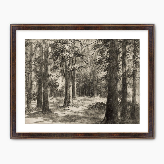 AK-46 Vintage Forest Sketch - Sage and Rose Prints