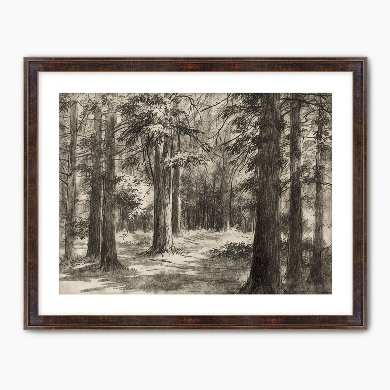 AK-46 Vintage Forest Sketch - Sage and Rose Prints