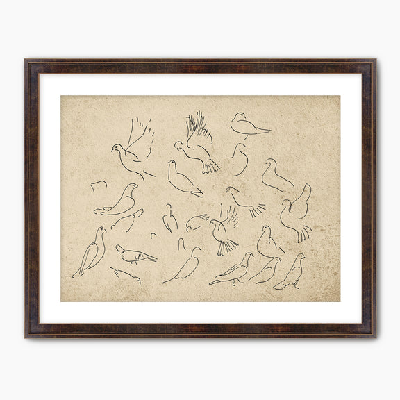 38-*AK-03- Vintage Doves Sketch - Sage and Rose Prints