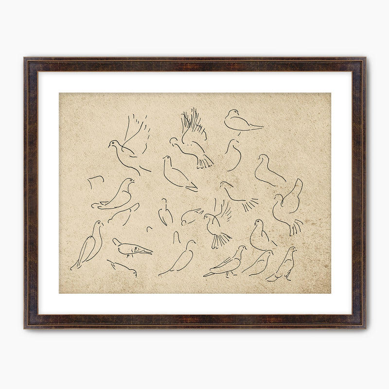 38-*AK-03- Vintage Doves Sketch - Sage and Rose Prints