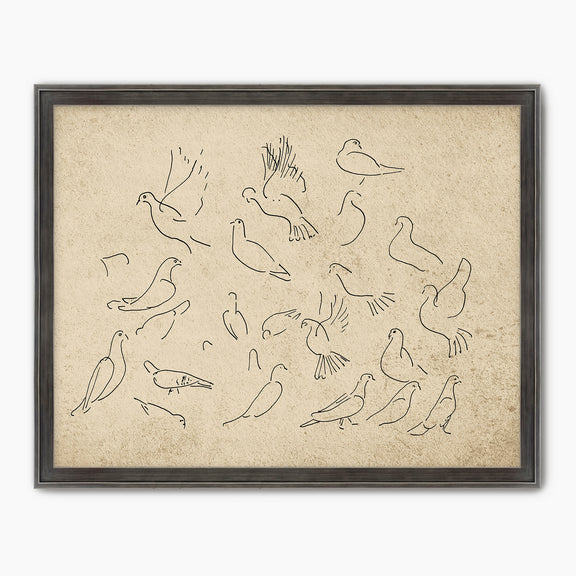 Vintage Doves Sketch - Sage and Rose Prints