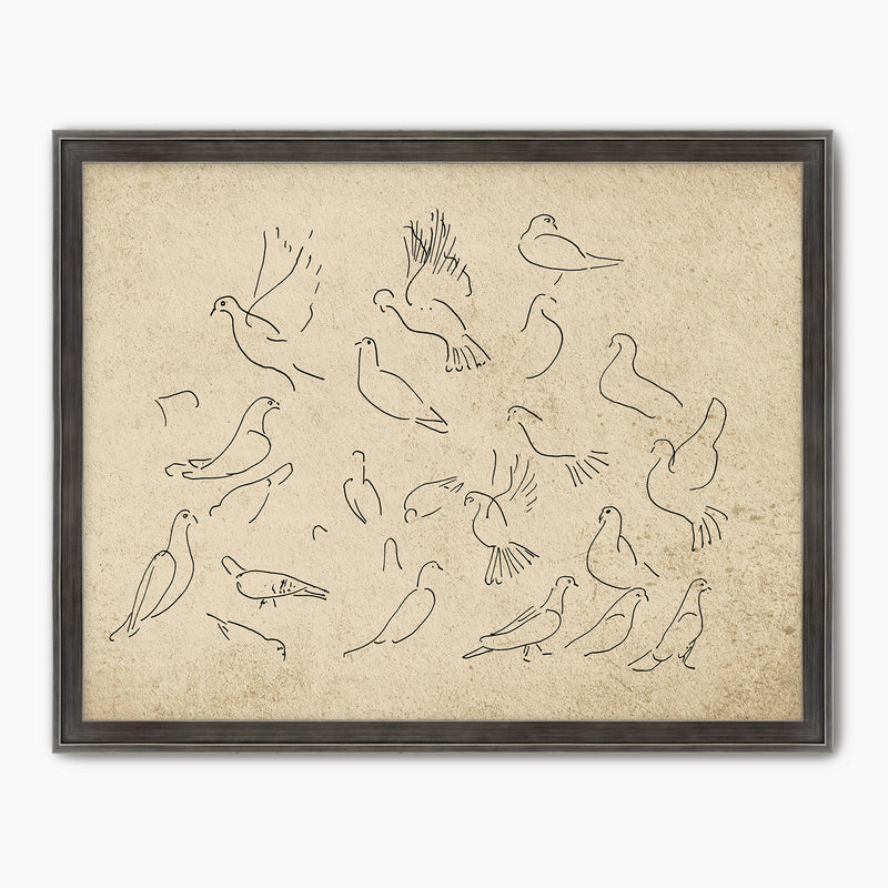 Vintage Doves Sketch - Sage and Rose Prints