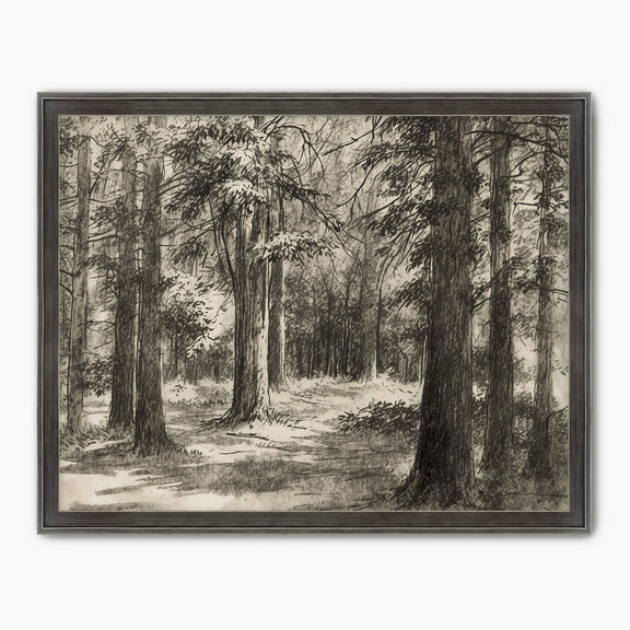 Vintage Forest Sketch - Sage and Rose Prints