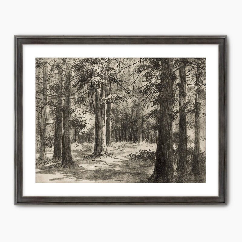 AK-46 Vintage Forest Sketch - Sage and Rose Prints